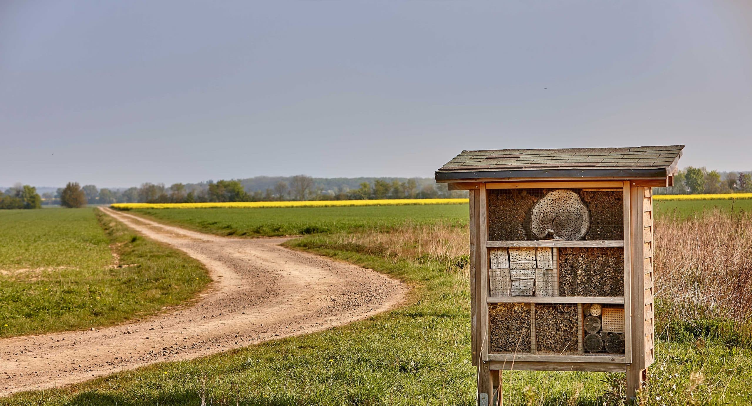 Ein Bienenhotel auf einem Feld